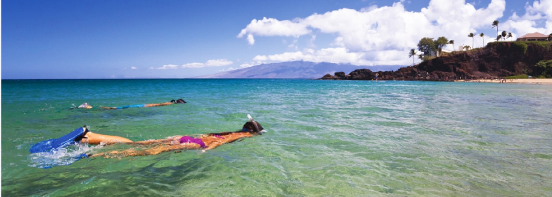 Snorkel on Maui The Best Activity and Least Expensive